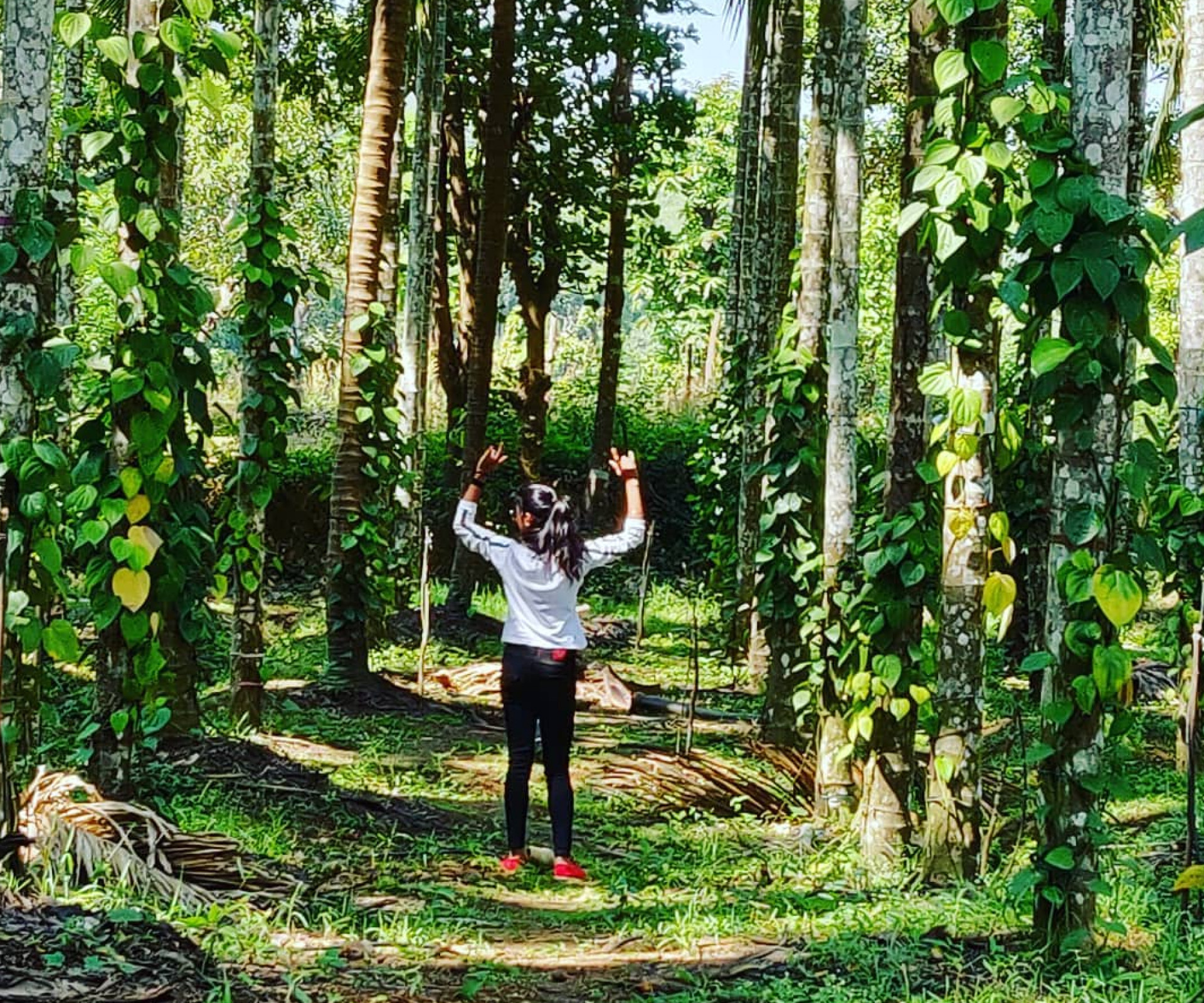 Sirsi, Coastal Karntaka