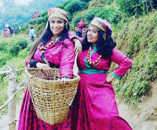 Tea Garden, Darjeeling